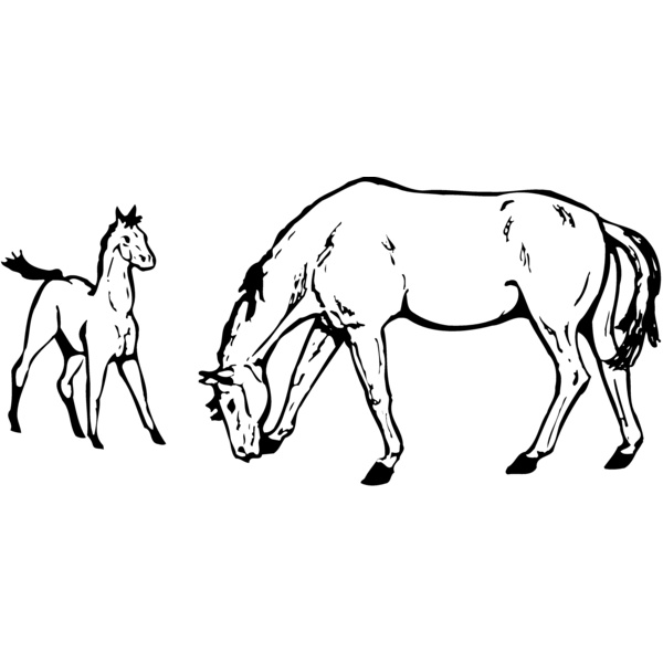 HORSE045 Thumbnail