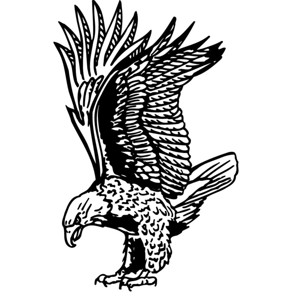 EAGLE020 Thumbnail
