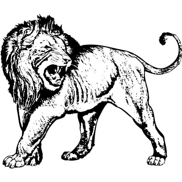 LION007 Thumbnail