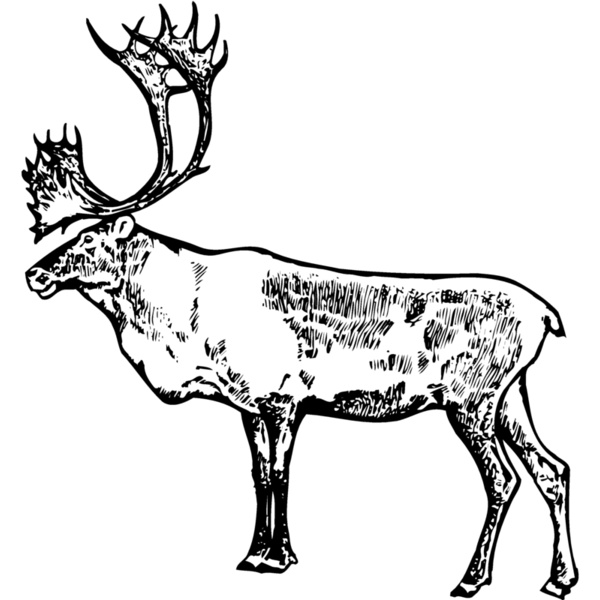 MOOSE003 Thumbnail