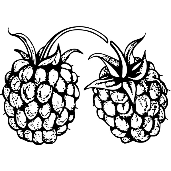 FRUIT032 Thumbnail
