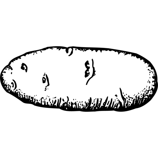 VEG006 Thumbnail
