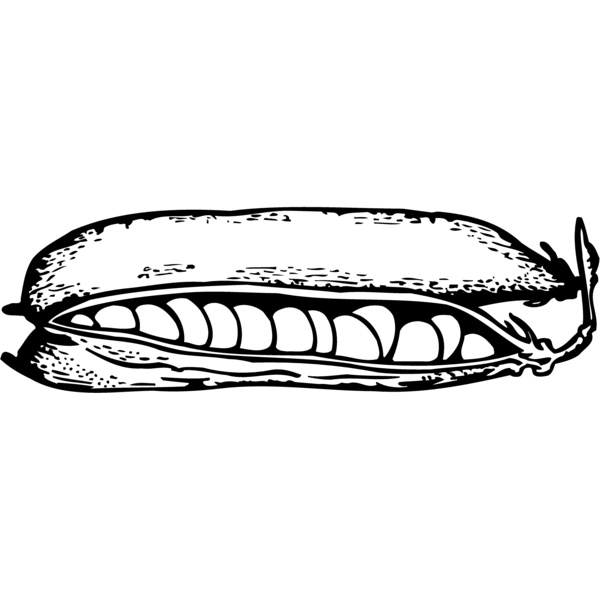 VEG009 Thumbnail
