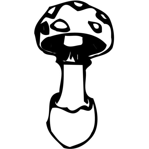 VEG027 Thumbnail