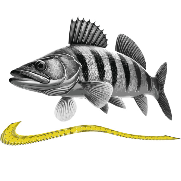 Snoekbaars PR Thumbnail