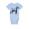 Baby Body Thumbnail